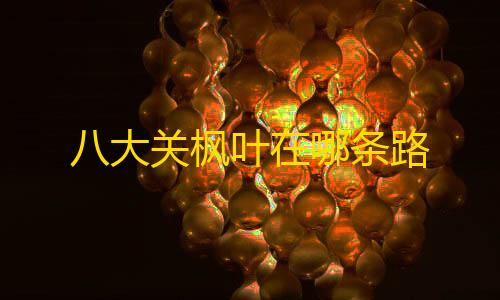 地铁逃生直装科技v2.0.0八大关枫叶在哪条路