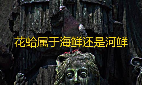 QQ秒赞永久花蛤属于海鲜还是河鲜