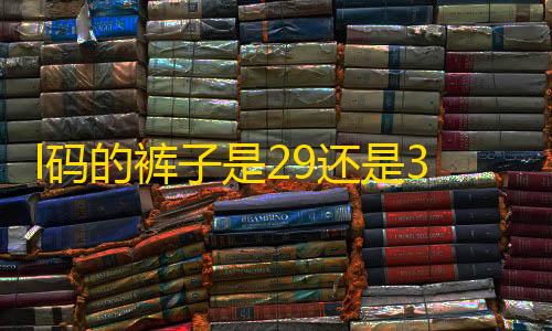 萤火突击辅助科技免费l码的裤子是29还是30